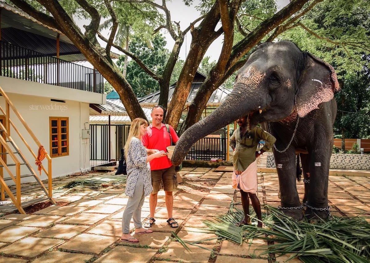 Kavery Elephant Park